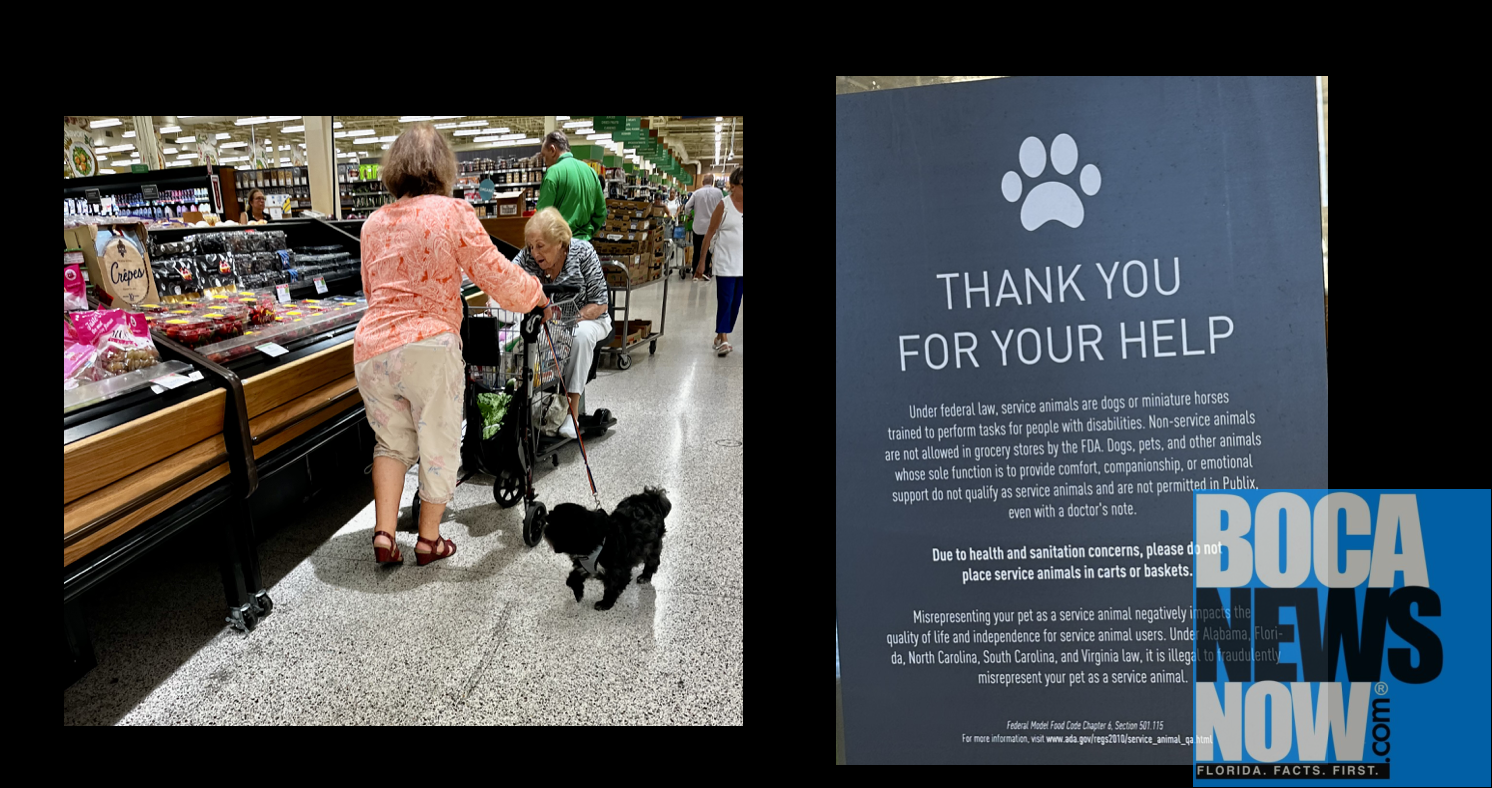 Publix dog and sign