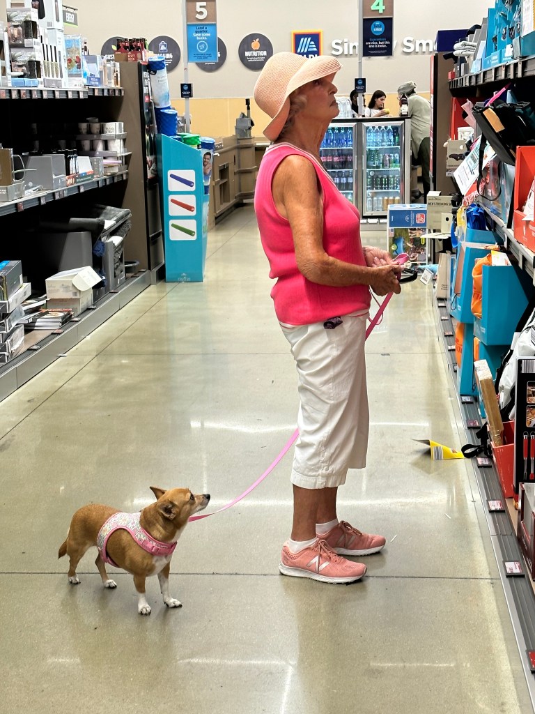 Dog Problem In Boca Raton, Delray Beach Continues