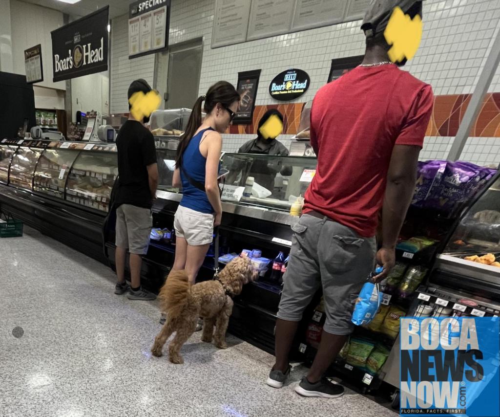 Dog in Publix Boca Raton federal and Camino 