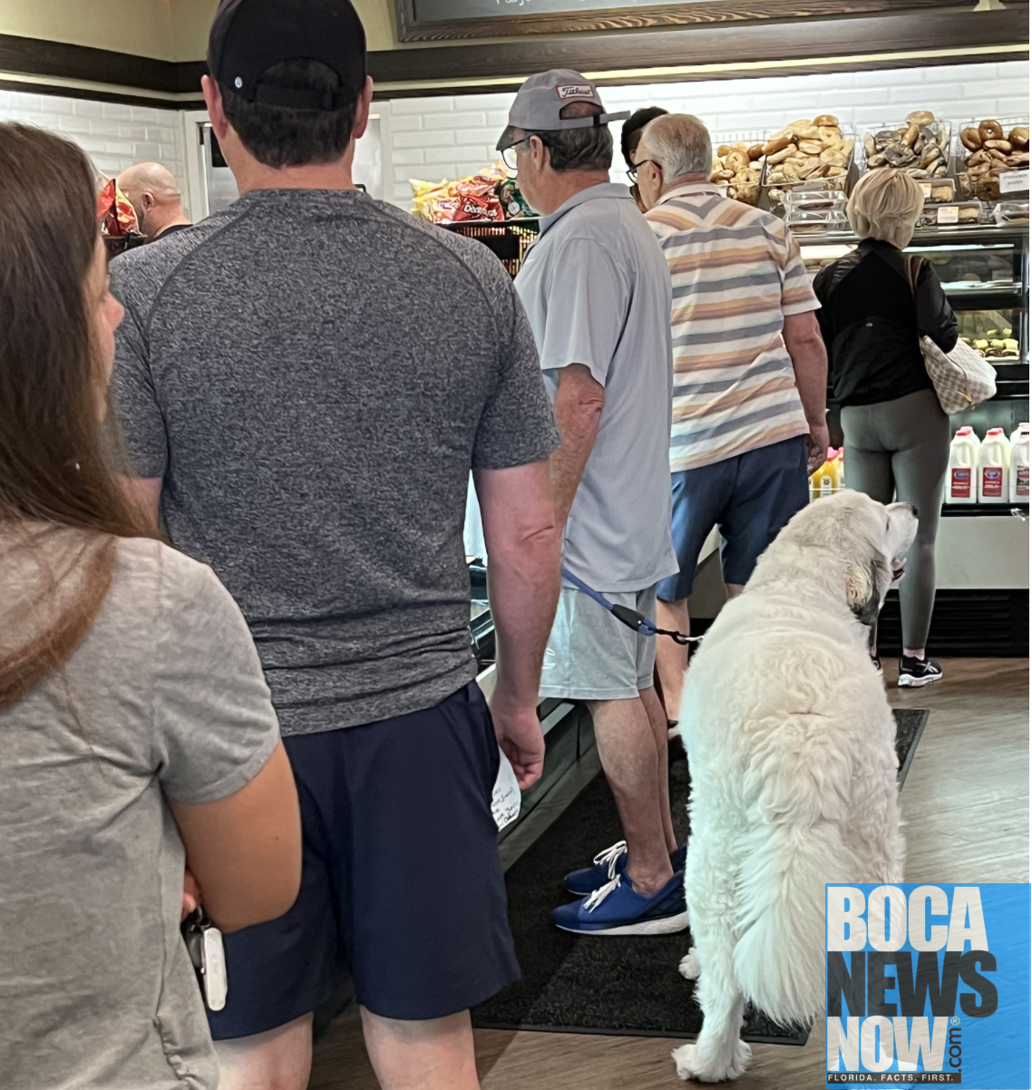 Dog Problem In Boca Raton, Delray Beach Continues