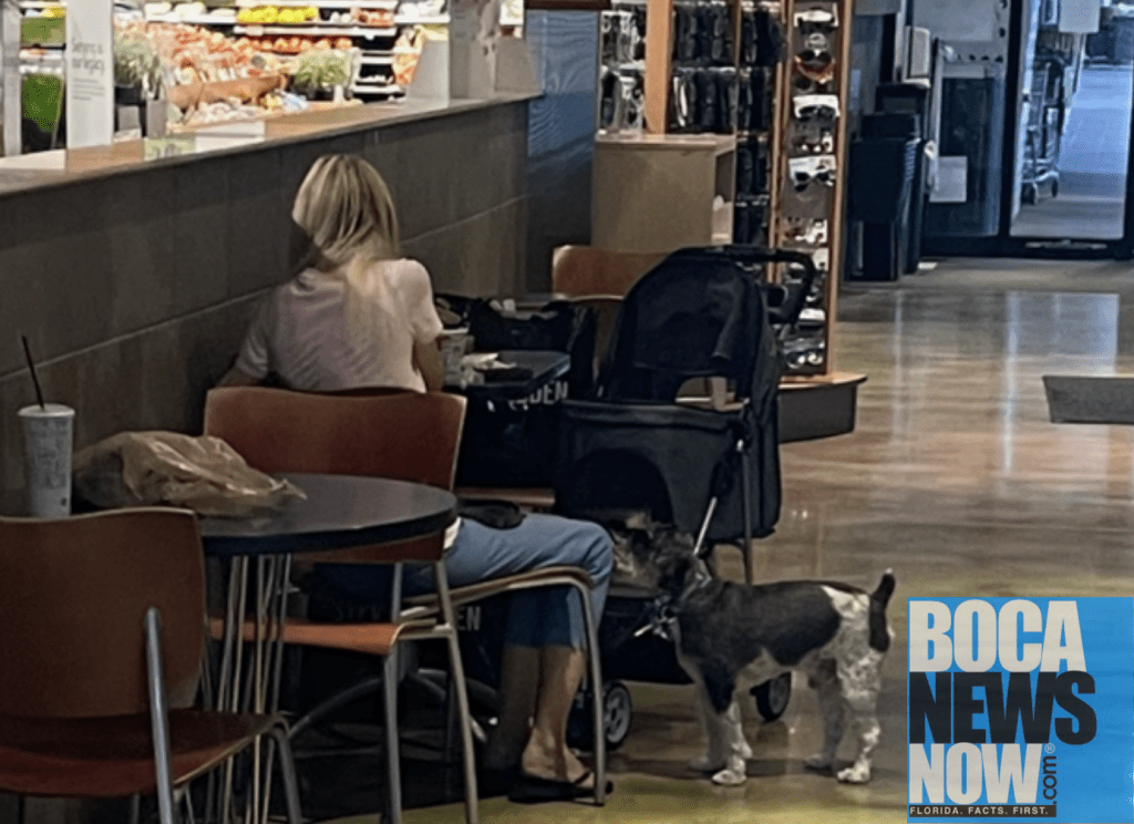 Dogs In Publix, On Planes, In Fresh Market, Costco Boca Raton