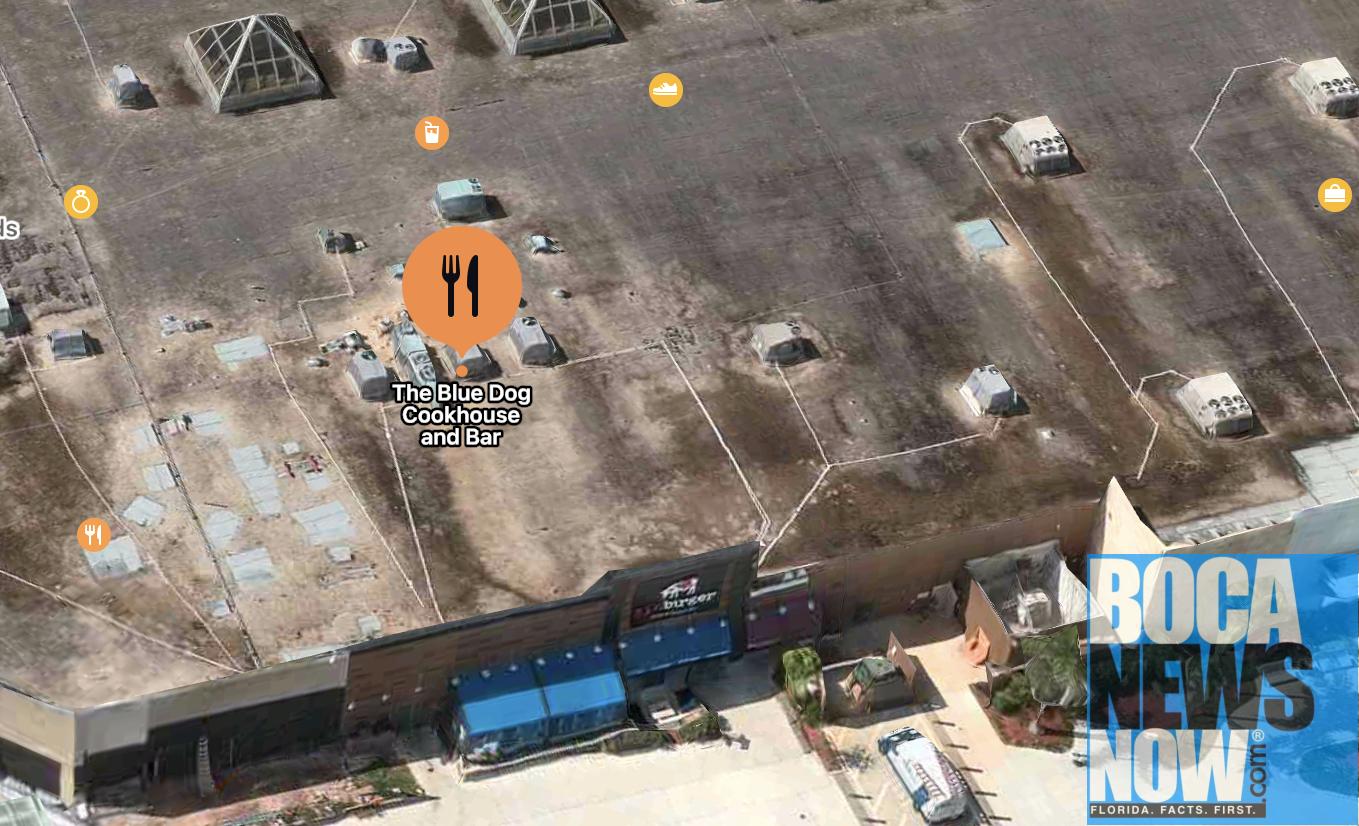 DIRTY DOG Blue Dog Cookhouse And Bar Boca Raton Cited By Health
