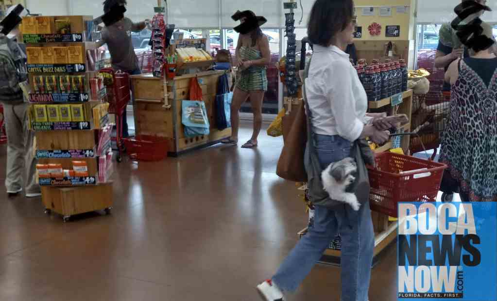 Shoppers Needing Emotional Support Dogs Should Stay Home, According To Readers - Vimarsana News