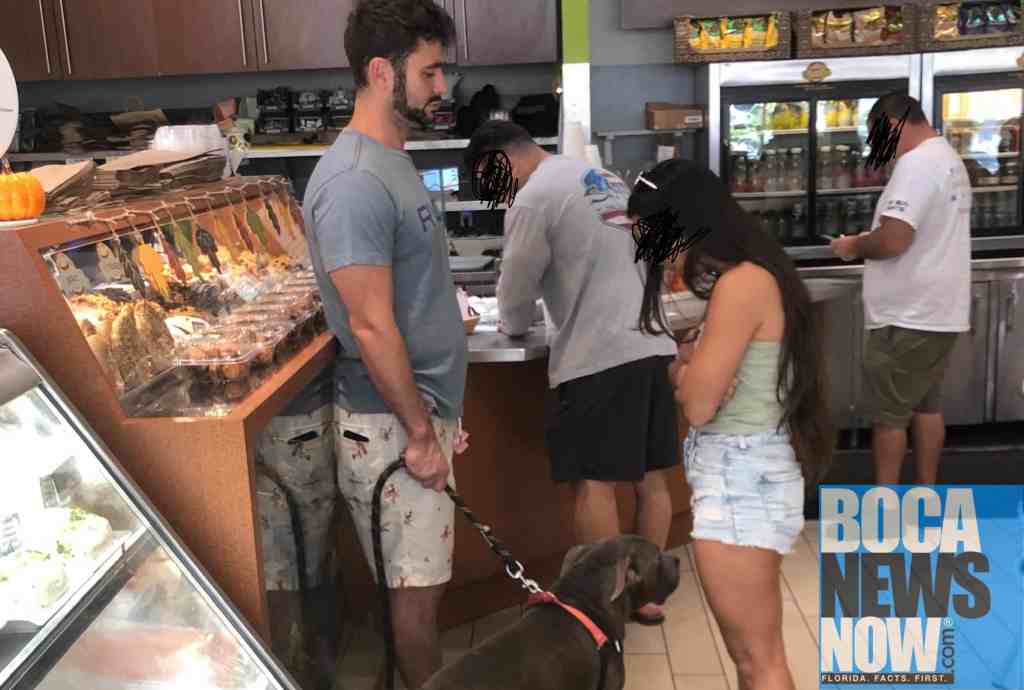 Is That A Pitbull In A Delray Beach Deli? It's Our Boca Rudeton Winner Of The Day - Vimarsana News