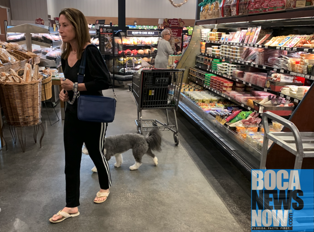 Snow Birds Arriving In Boca Raton, Bringing Snow Dogs To Stores