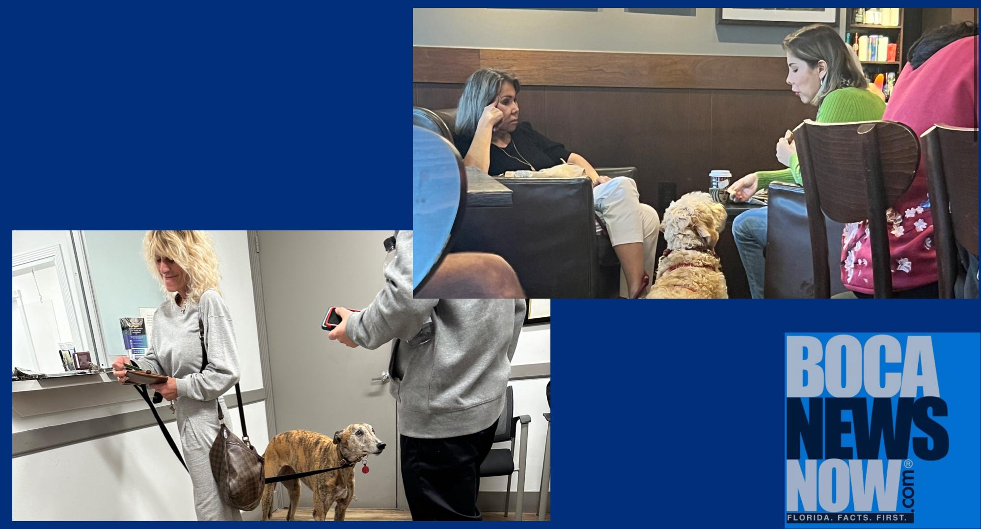 Dog At Doctor’s Office, Dog In Starbucks, Brains On Vacation In Boca