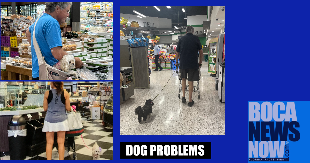 Dog Problems Boca Raton