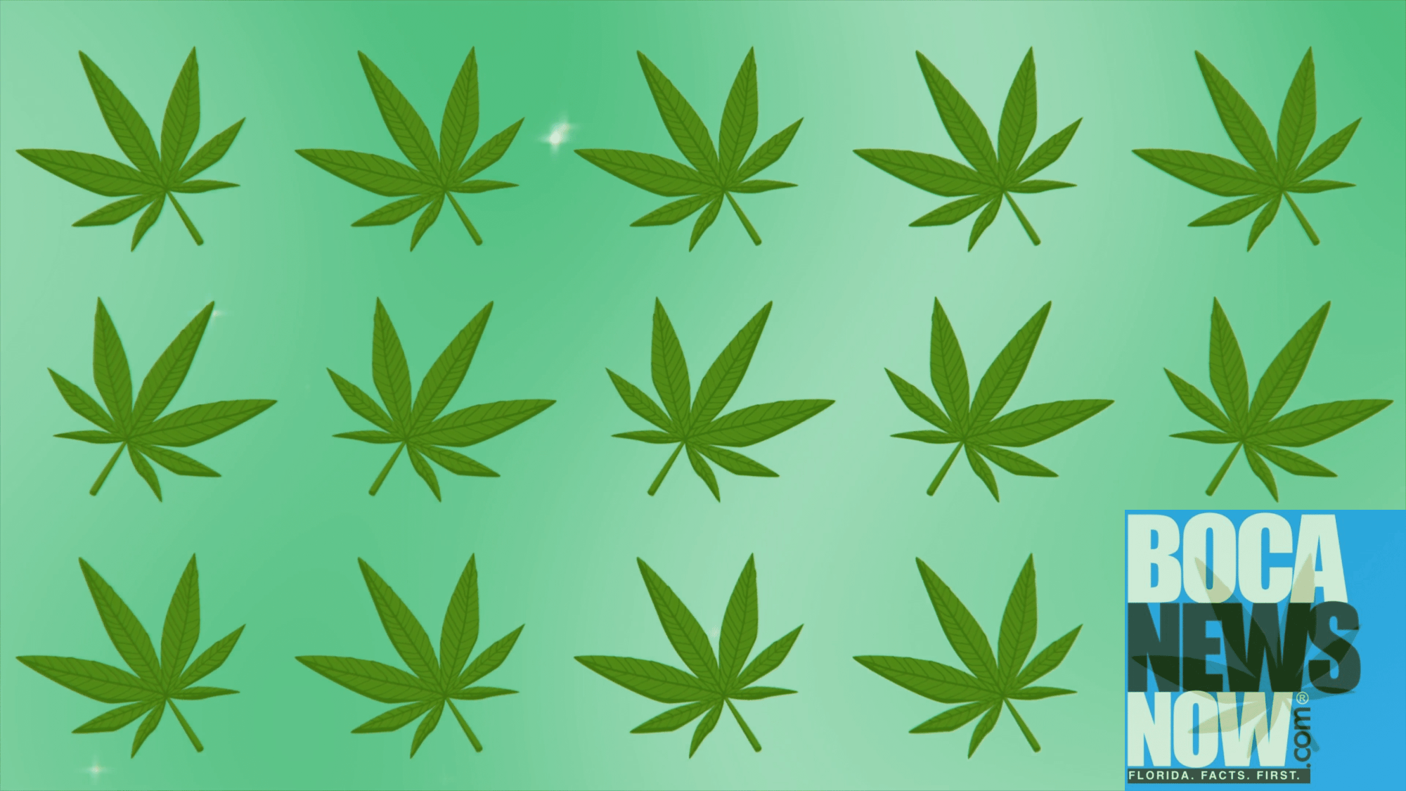 Delray Beach Teen Reminded That Marijuana Is Illegal In Florida - Vimarsana News